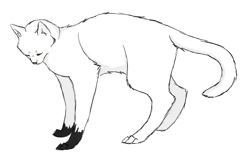 Adorable White Cat Cartoon with Black Paws