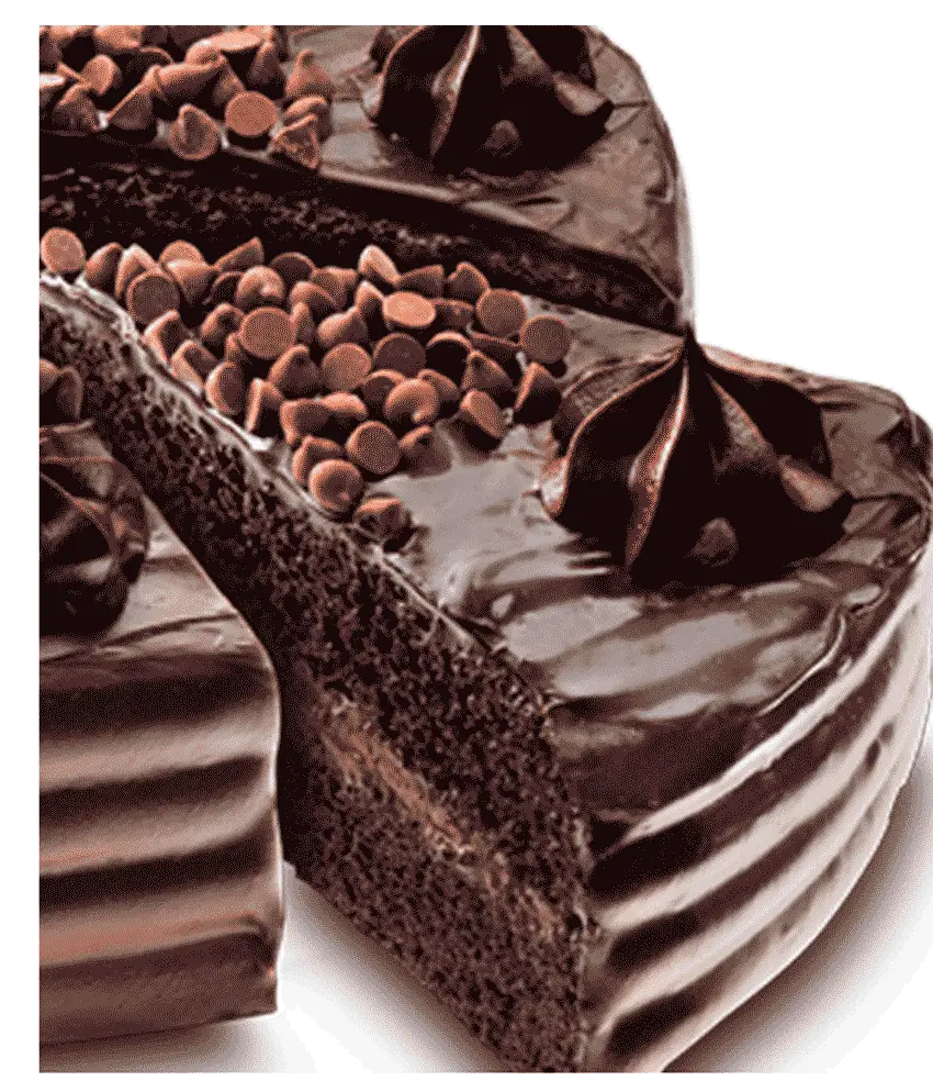 Delicious Chocolate Cake Slice