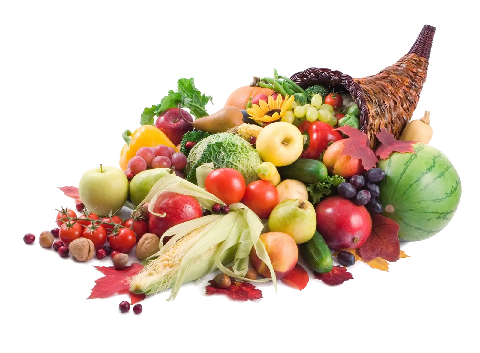 Cornucopia with Fall Harvest Products