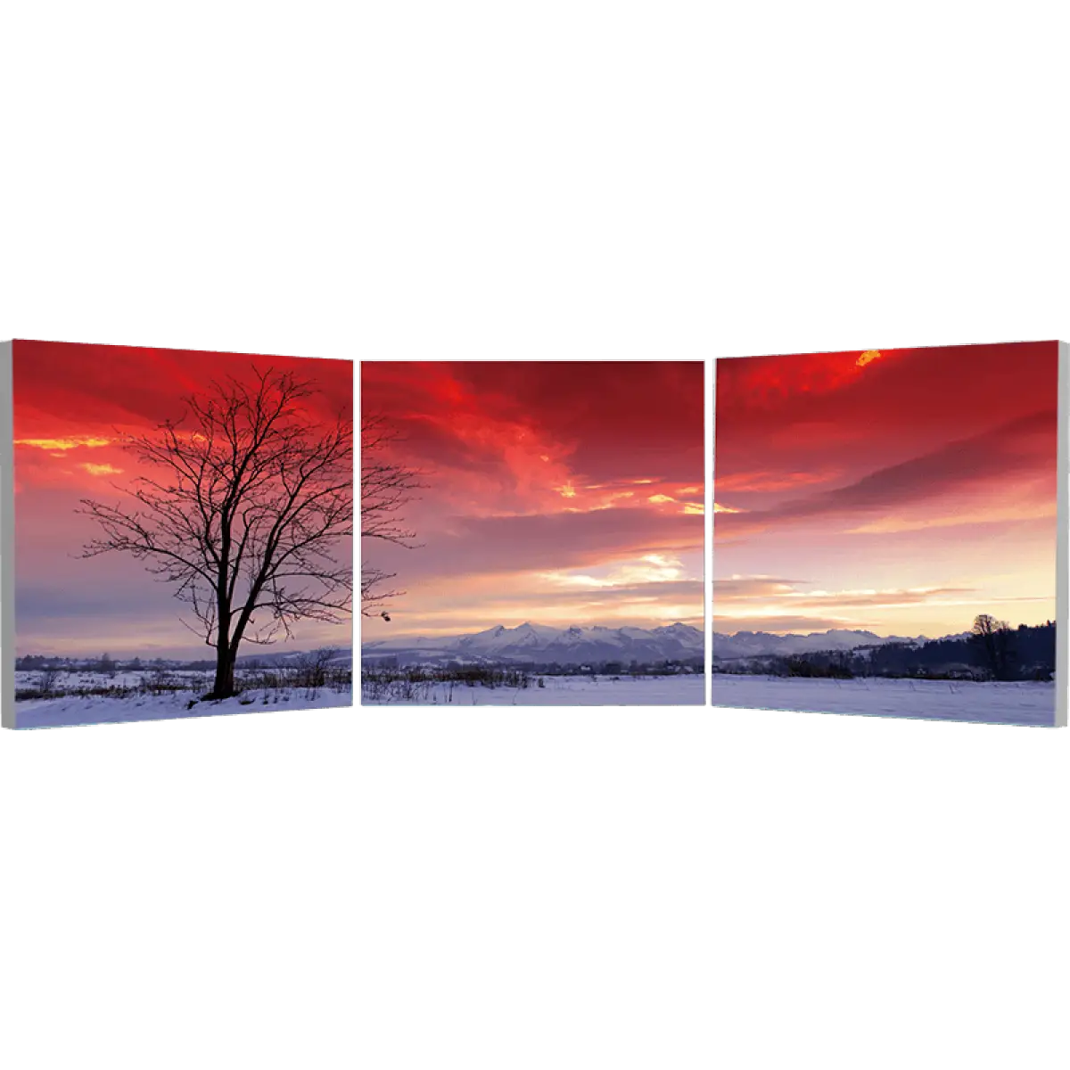 Beautiful Sunset Landscape with Tree and Snow
