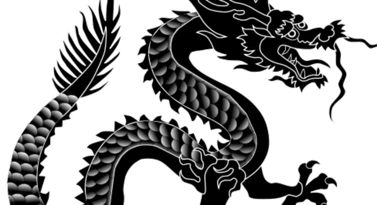 Black Dragon Illustration Design