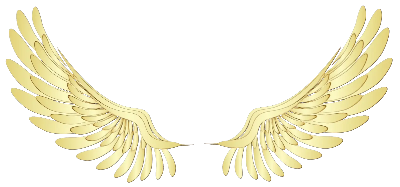 Decorative Golden Angel Wings