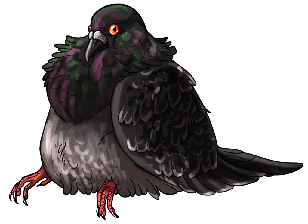 Cartoon Pigeon Illustration