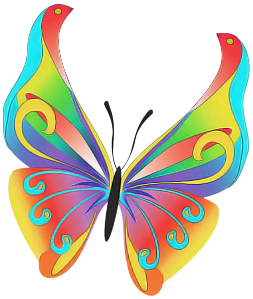 Colorful Butterfly Illustration