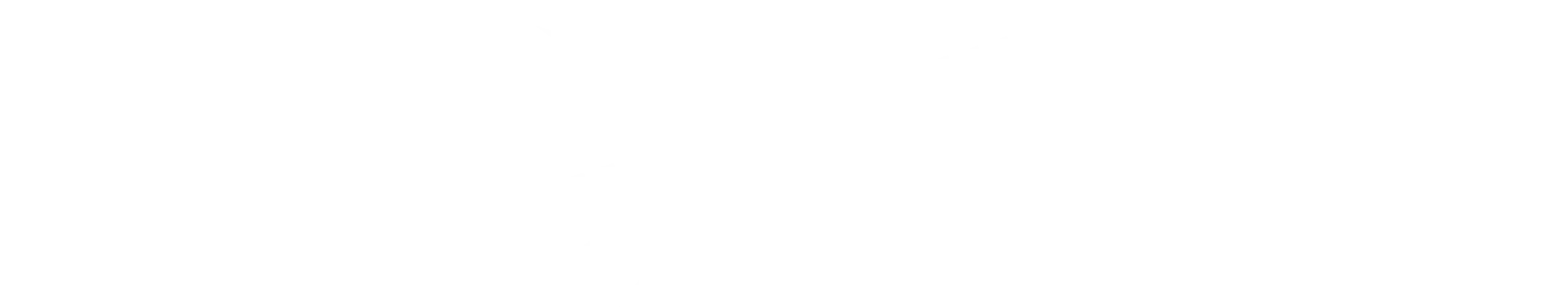 Transparent Background with Checkerboard Grid