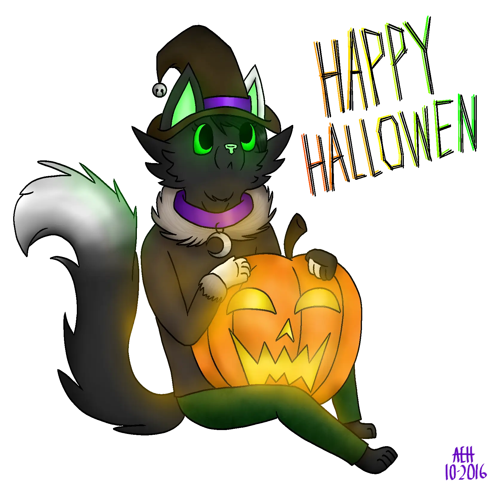 Black Cat with Pumpkin for Halloween