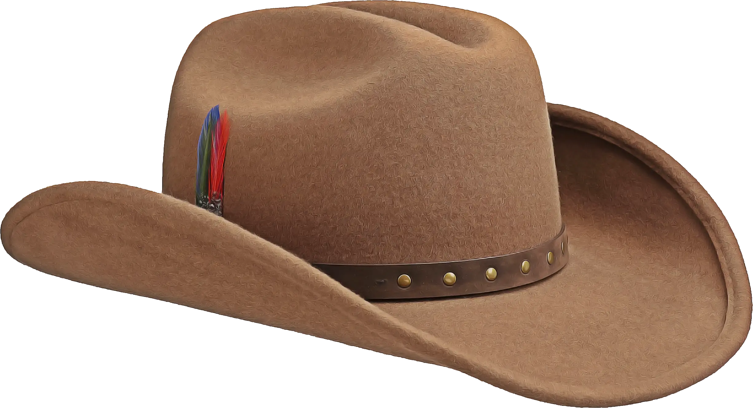 Brown Cowboy Hat with Leather Band