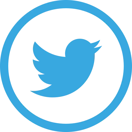 Blue Bird Twitter Logo Icon