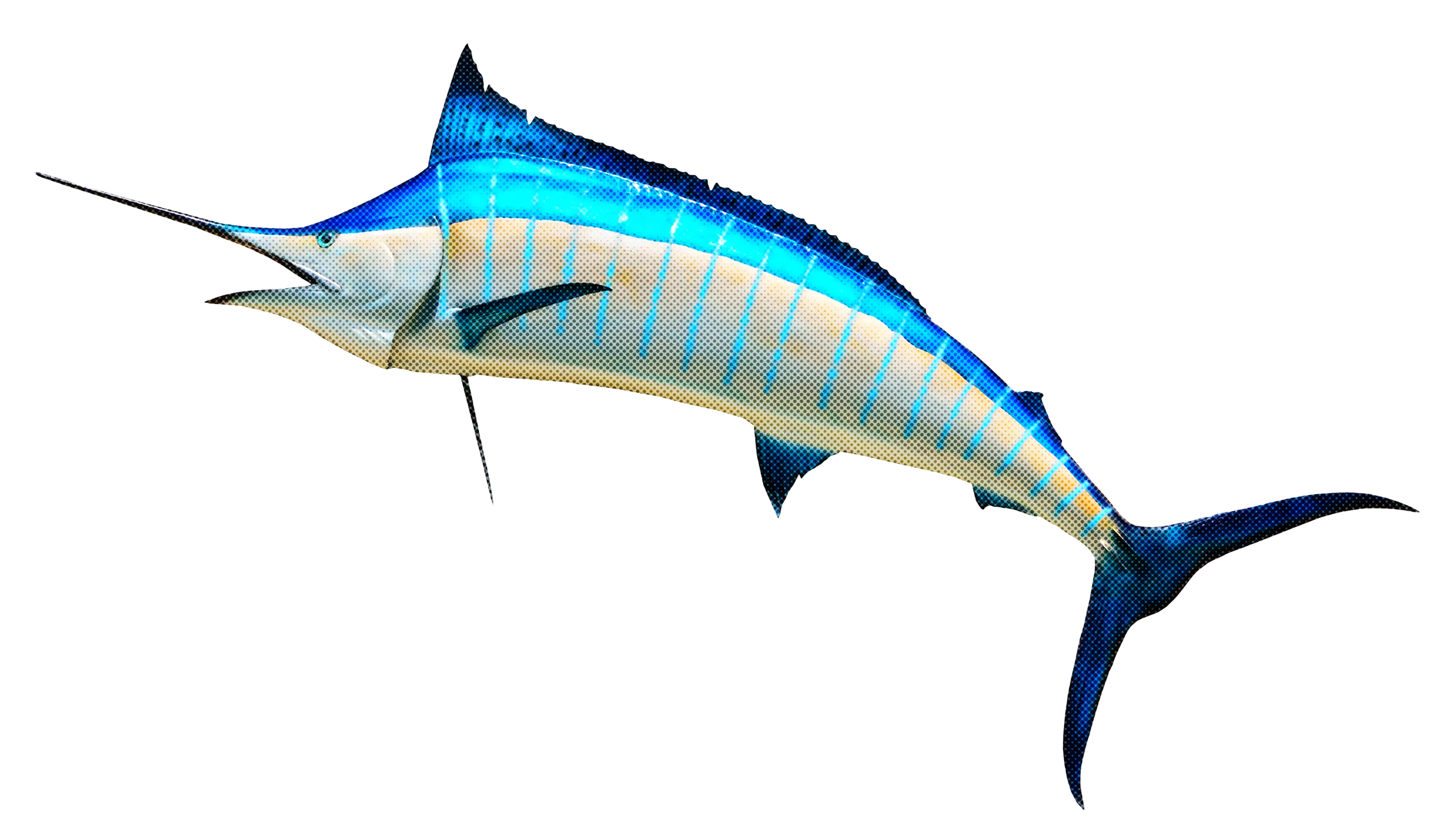 Blue Marlin Fish Illustration