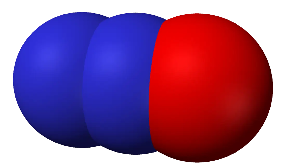 Molecule Representation for Scientific Education