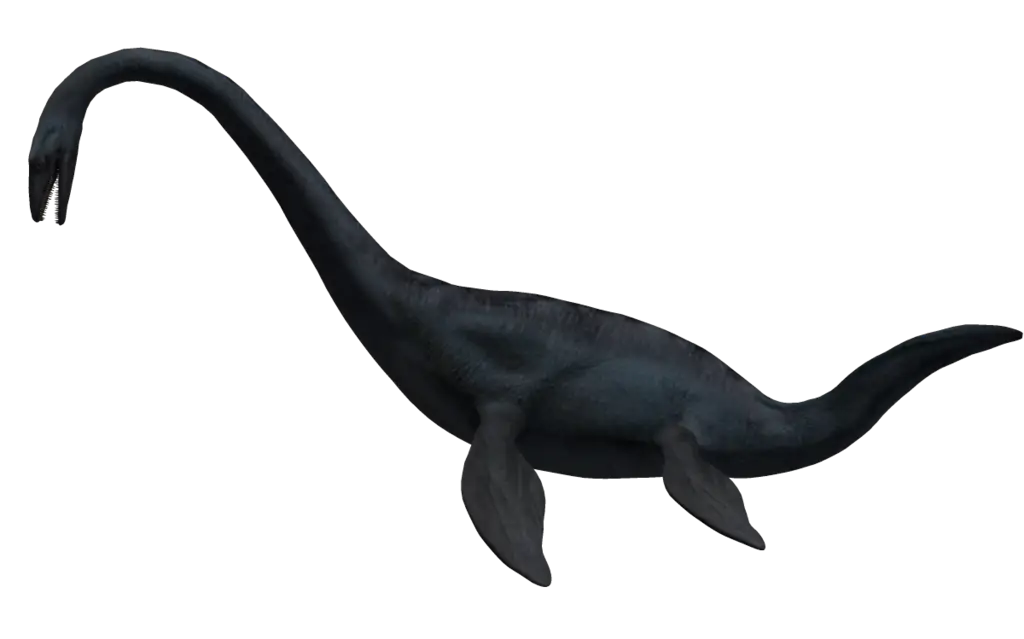 Plesiosaur Illustration