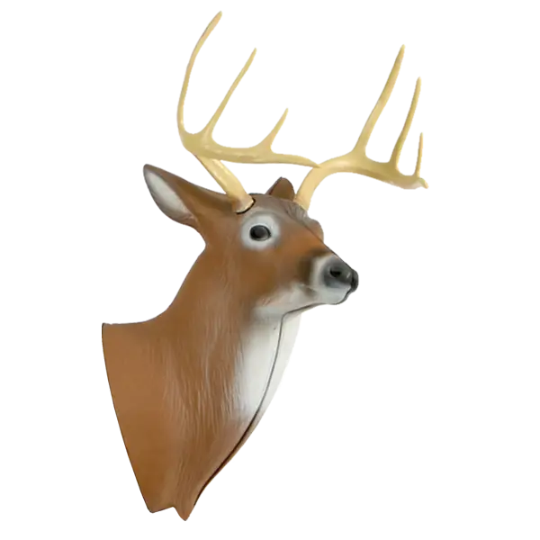 Mounted Deer Head with Antlers