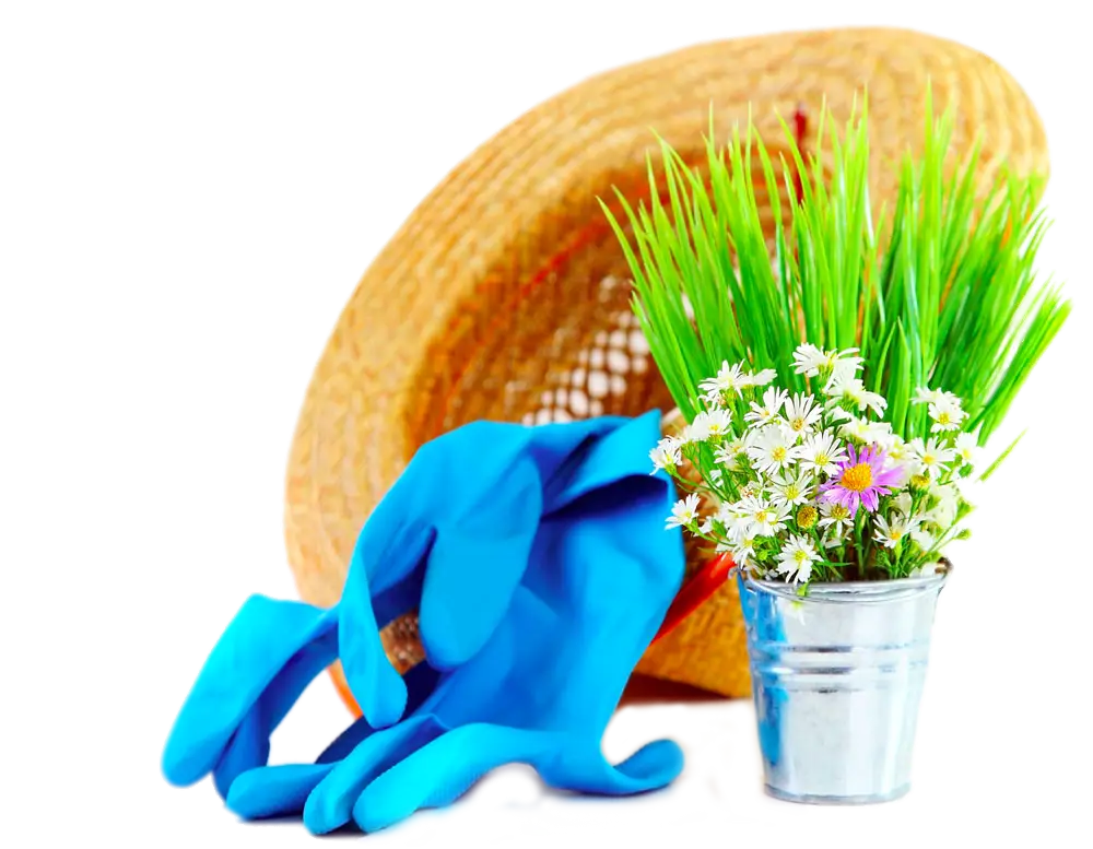 Gardening Essentials with Hat and Flowers