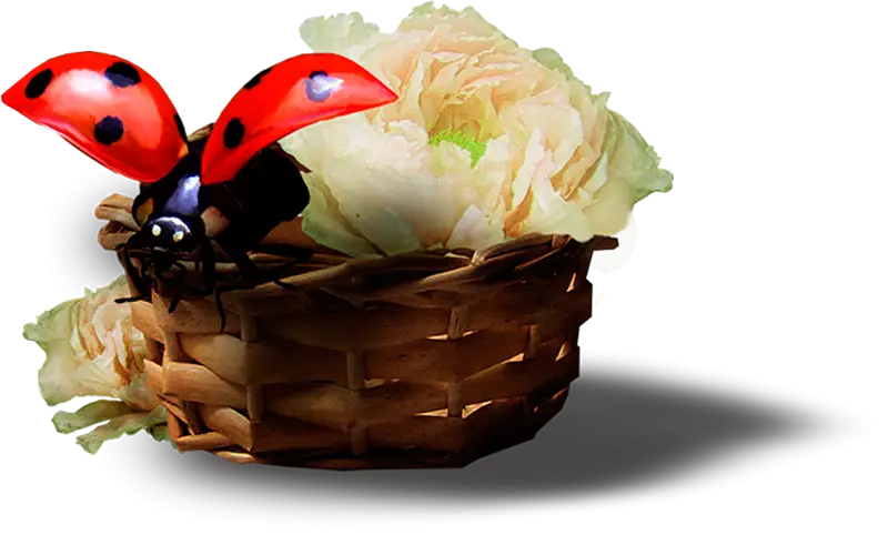 Ladybug on a Flower Basket