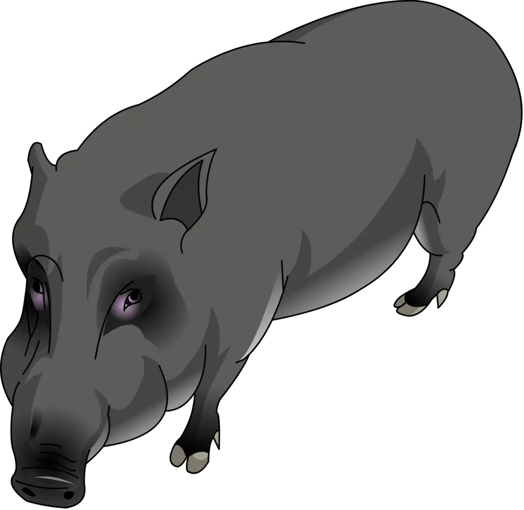 Illustration of a Wild Boar