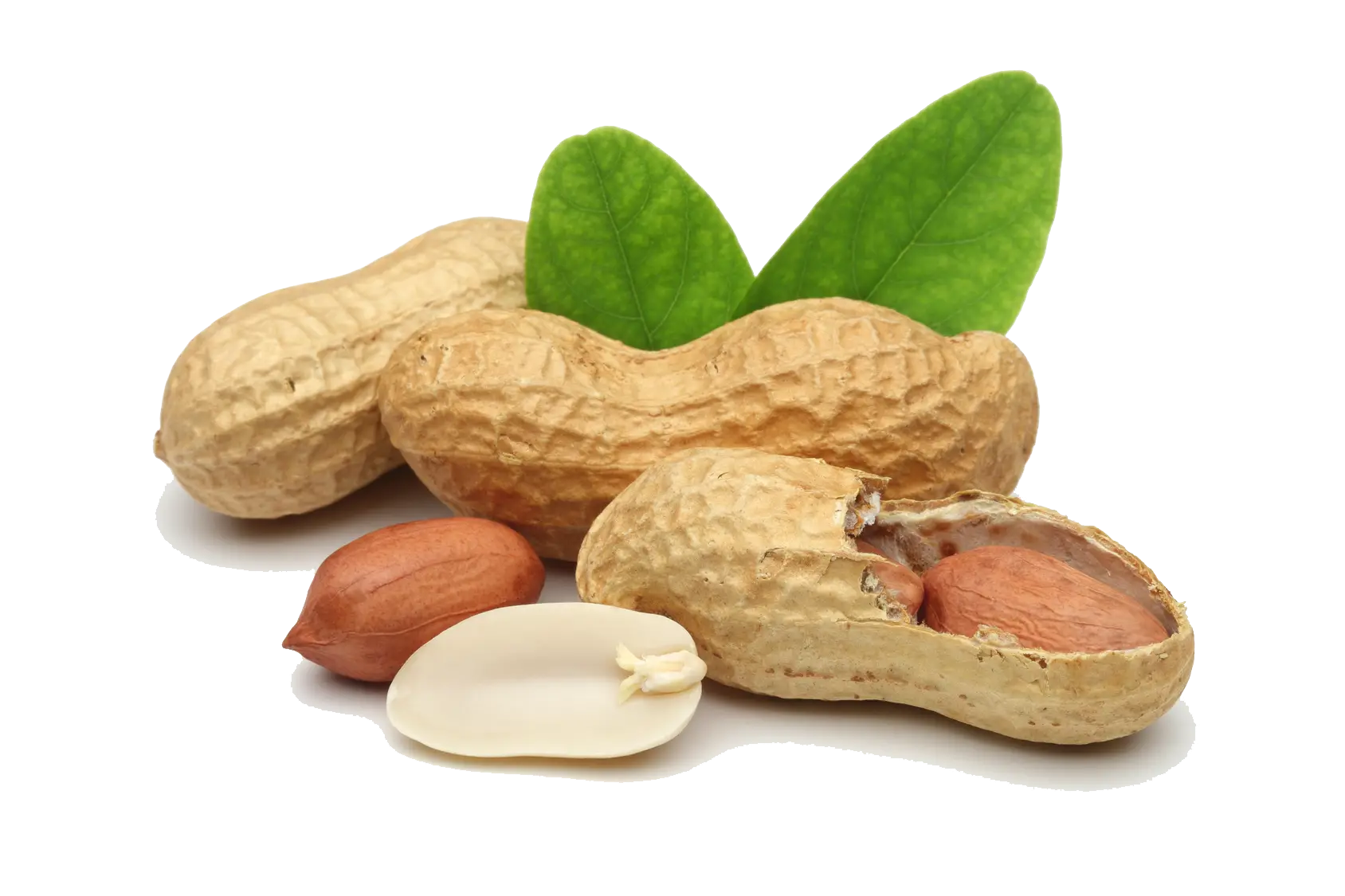 Peanuts with Leaves