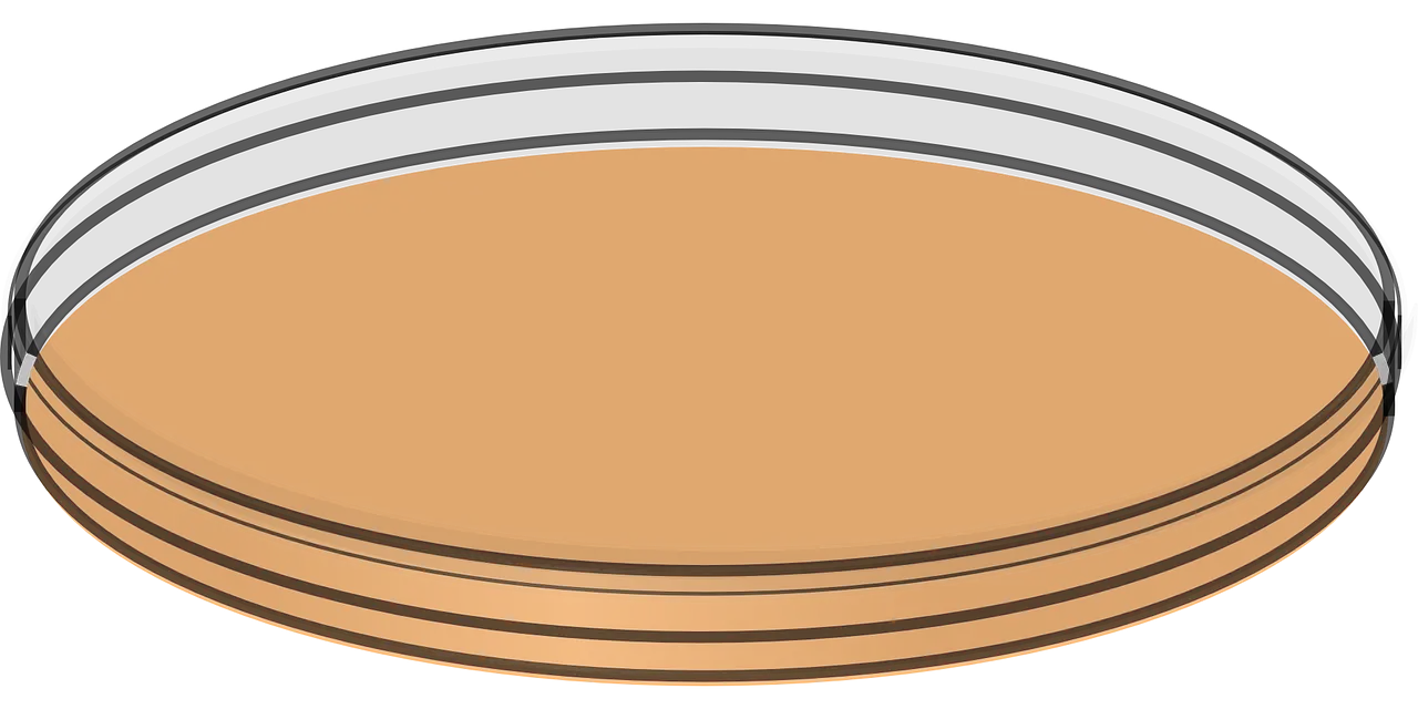 Petri Dish Drawing for Science Illustration