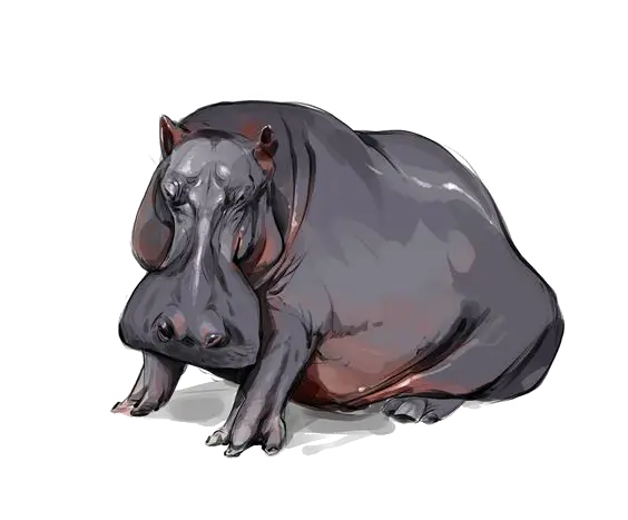 Resting Hippopotamus