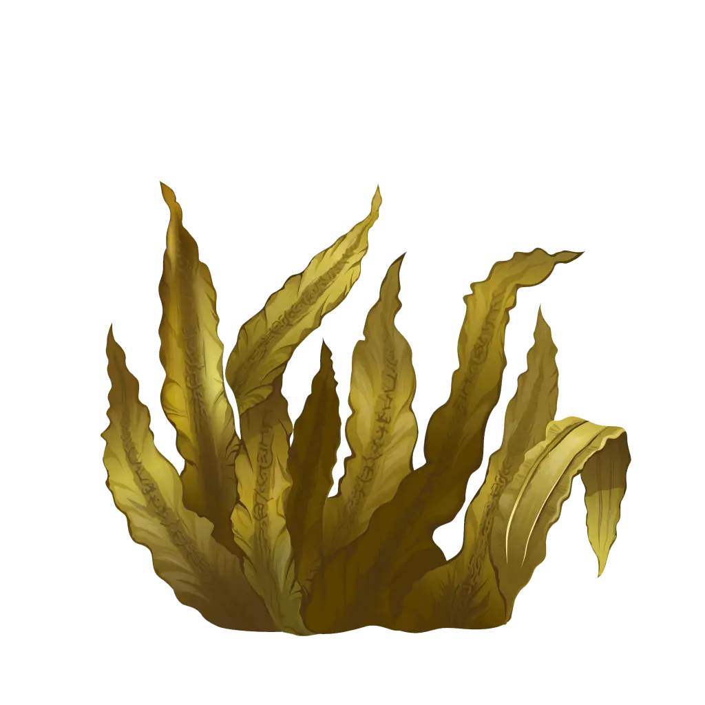 Golden Seaweed Illustration