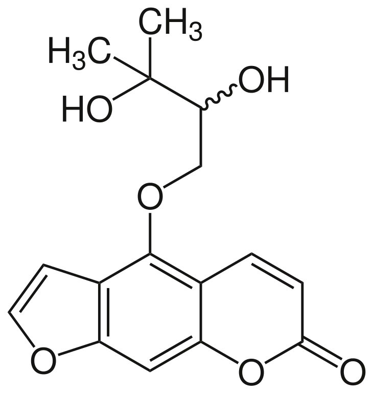 Structural Diagram of a Chemical Molecule