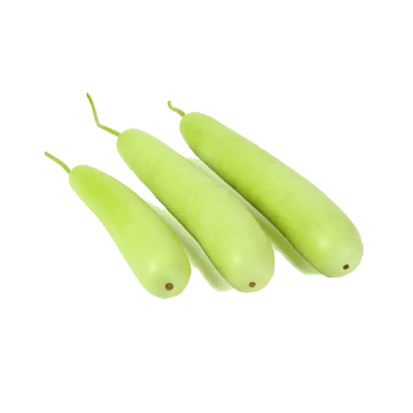 Fresh Bottle Gourd Vegetables