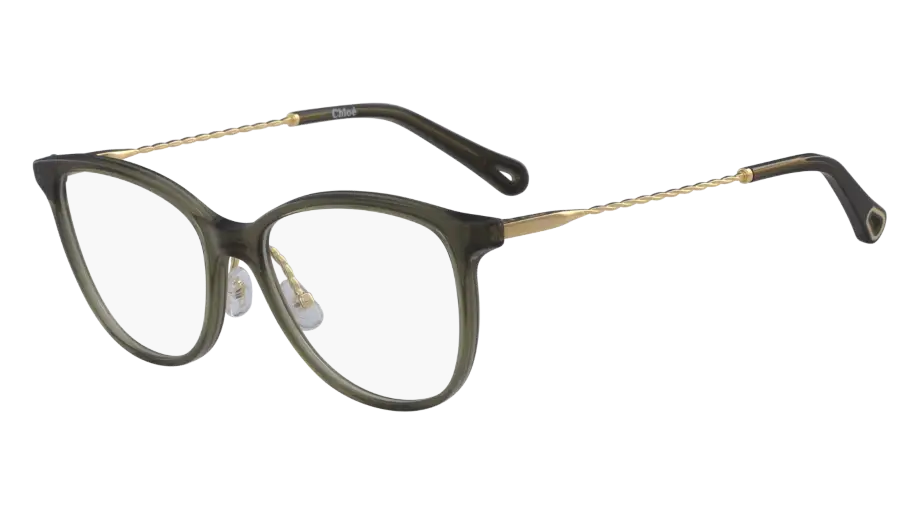 Trendy Glasses with Modern Frames