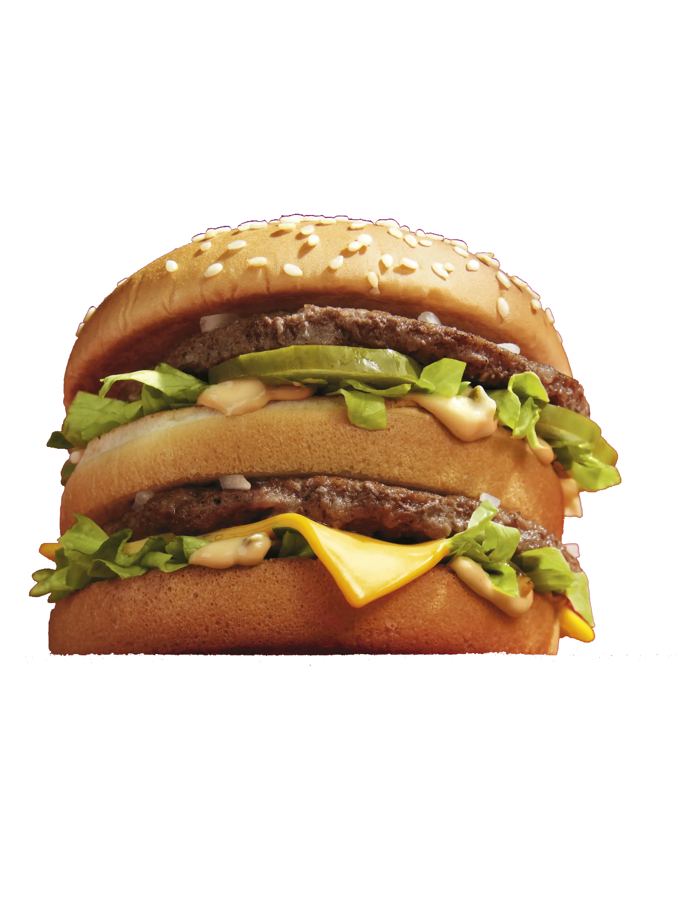 Delicious Double Cheeseburger