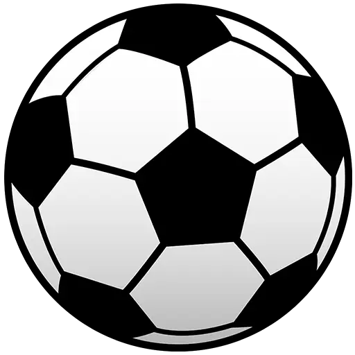 Black and White Soccer Ball