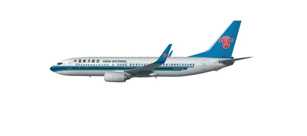 Commercial Passenger Airplane in Flight