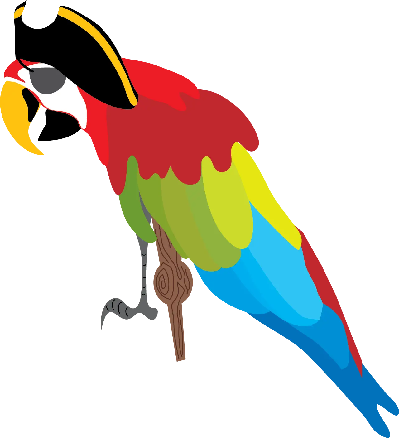 Cartoon Parrot with Pirate Hat Illustration