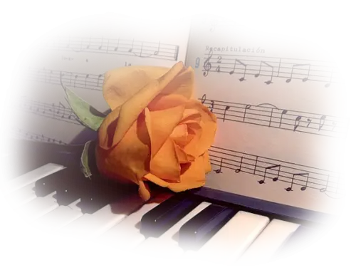 Yellow Rose on Piano with Sheet Music