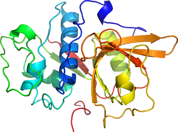 3D Representation of a Protein Structure