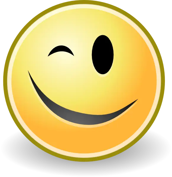 Cheerful Winking Emoji Icon