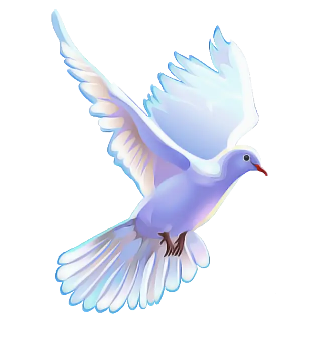 White Dove Flying Symbol of Peace