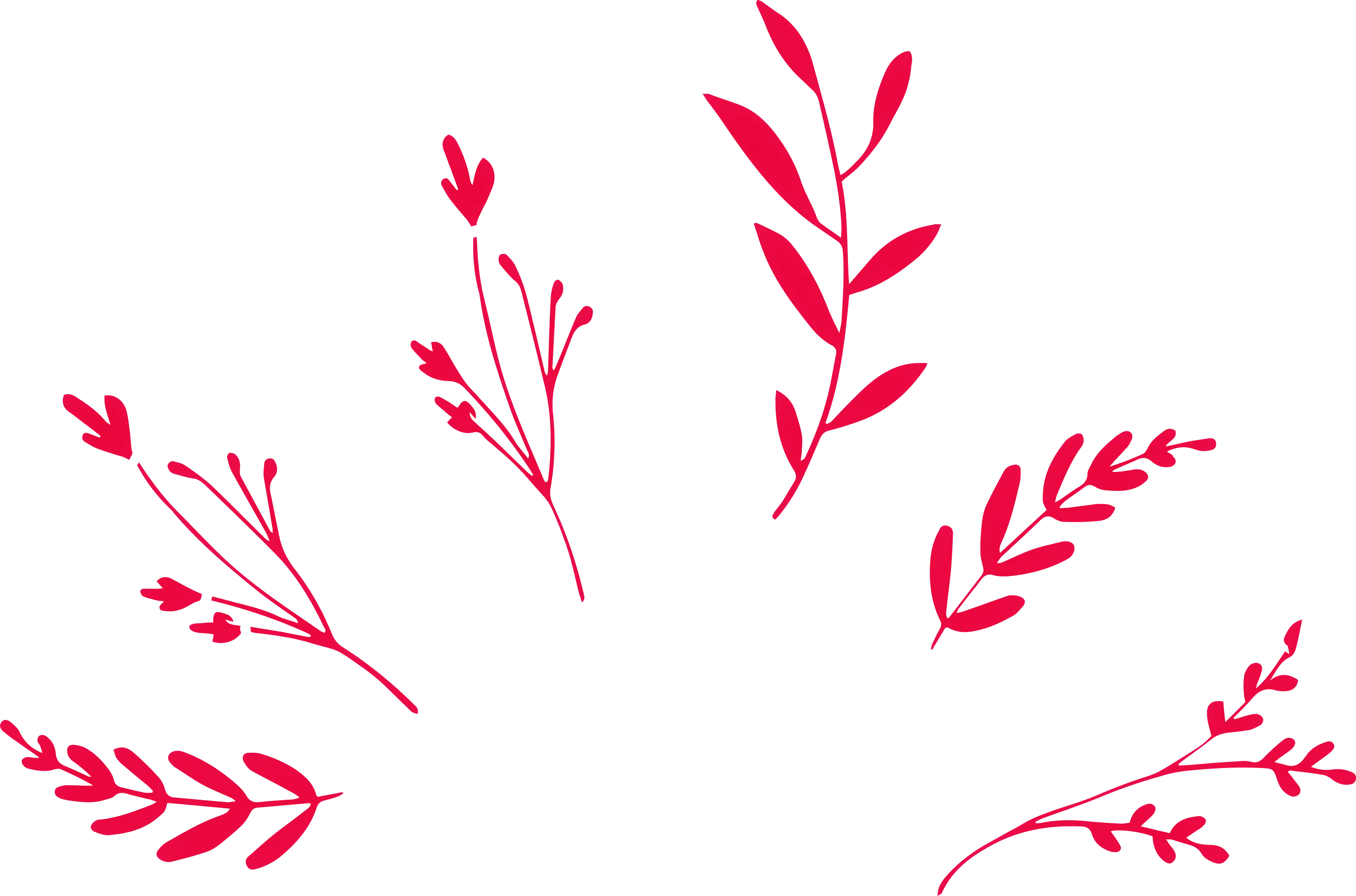 Red Decorative Branches Design