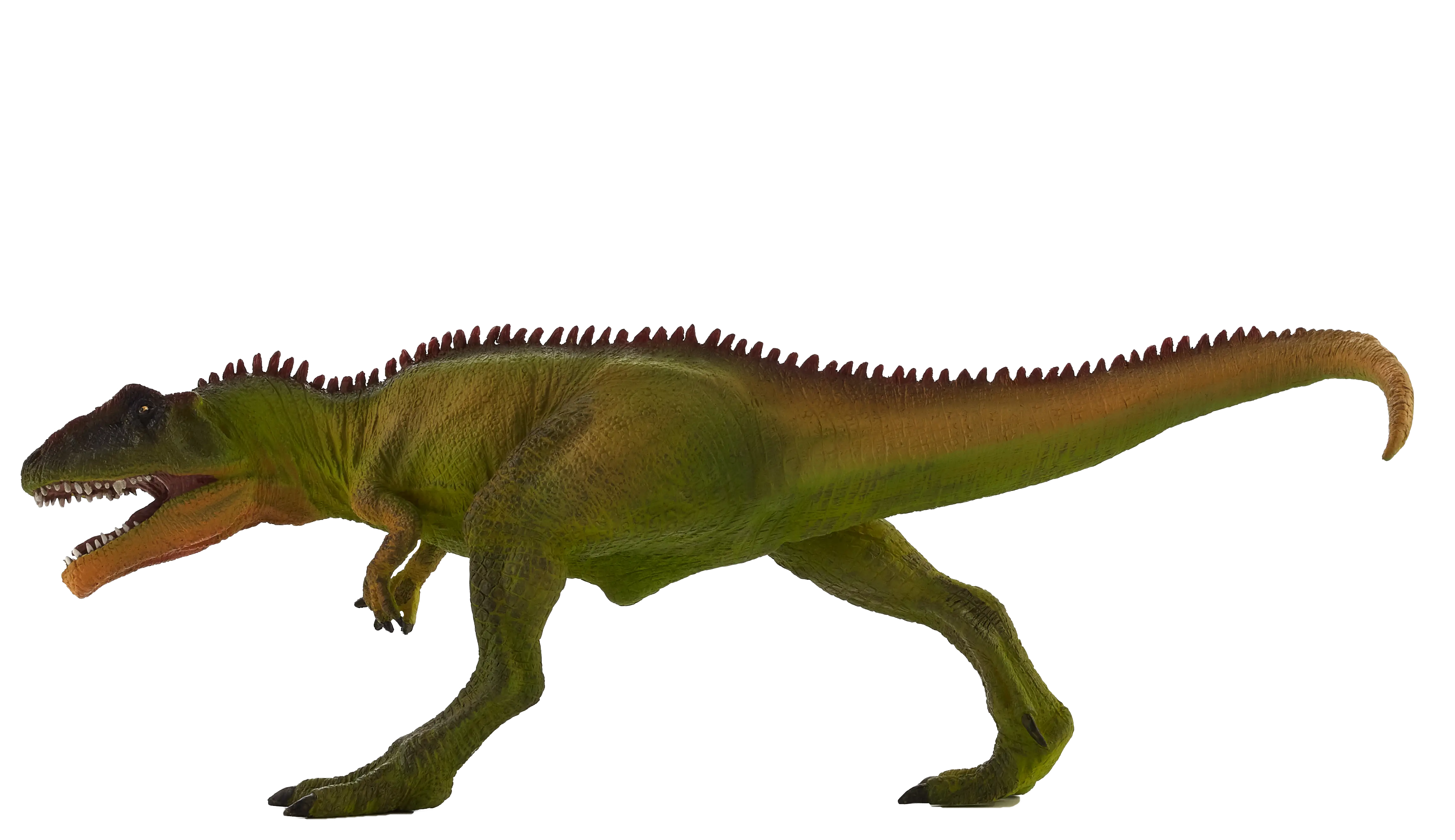 Lineback Dinosaur Anatomy Art