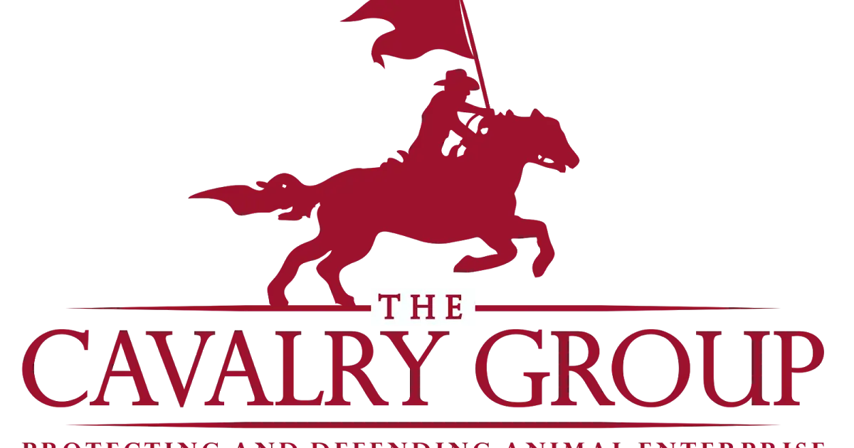 Cavalry Group Logo Featuring a Rider on Horseback