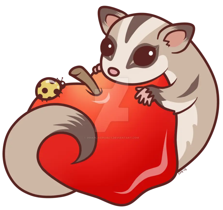Cute Sugar Glider with Apple