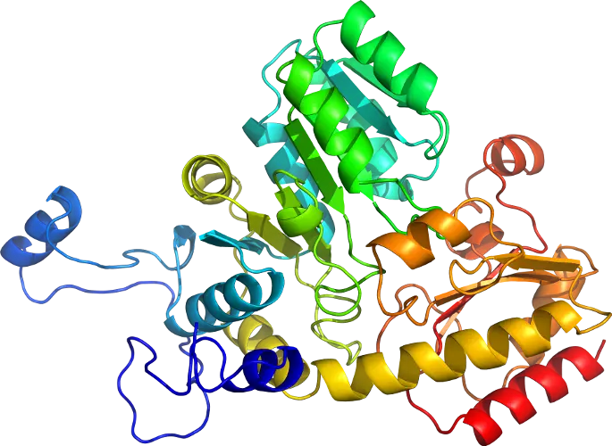 Colorful 3D Representation of Protein Structure for Science