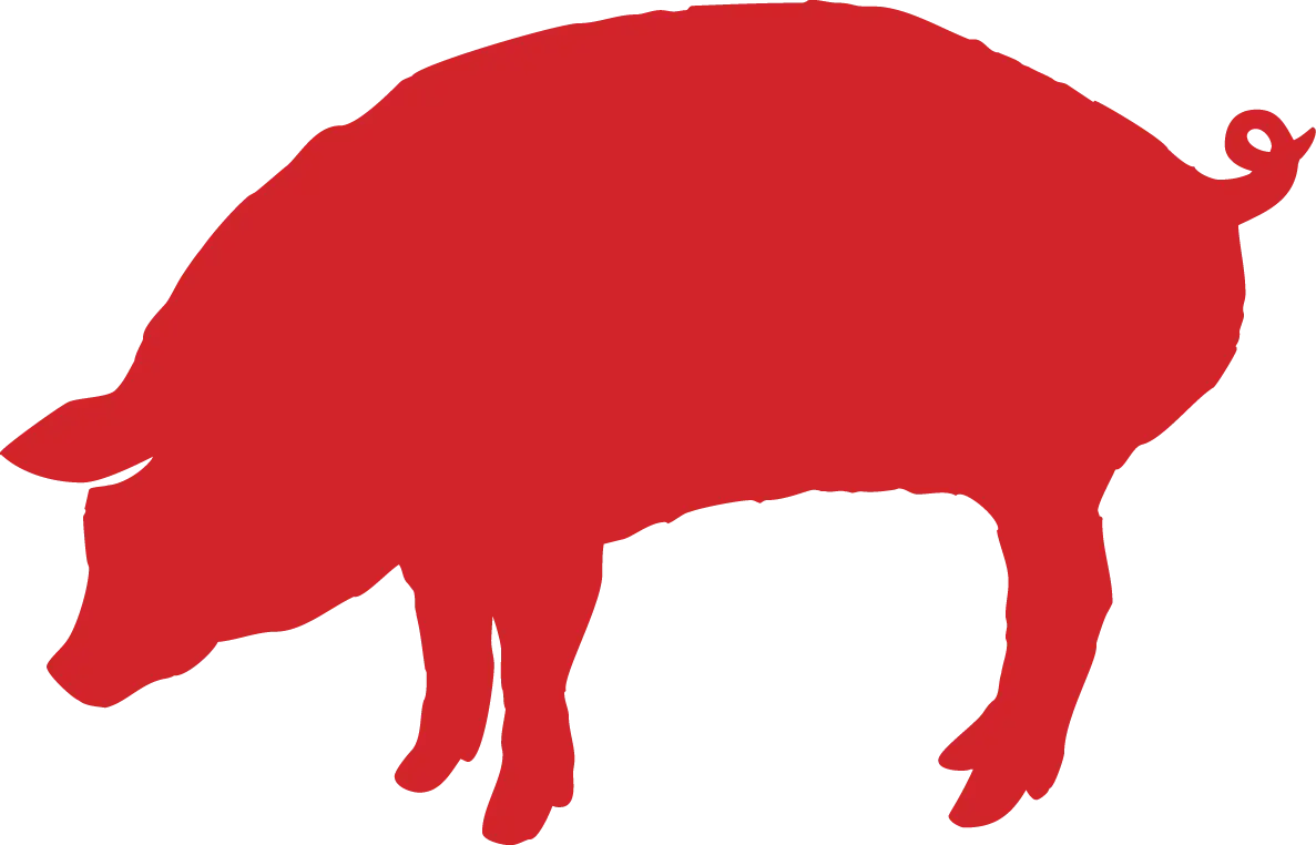 Red Pig Silhouette Illustration