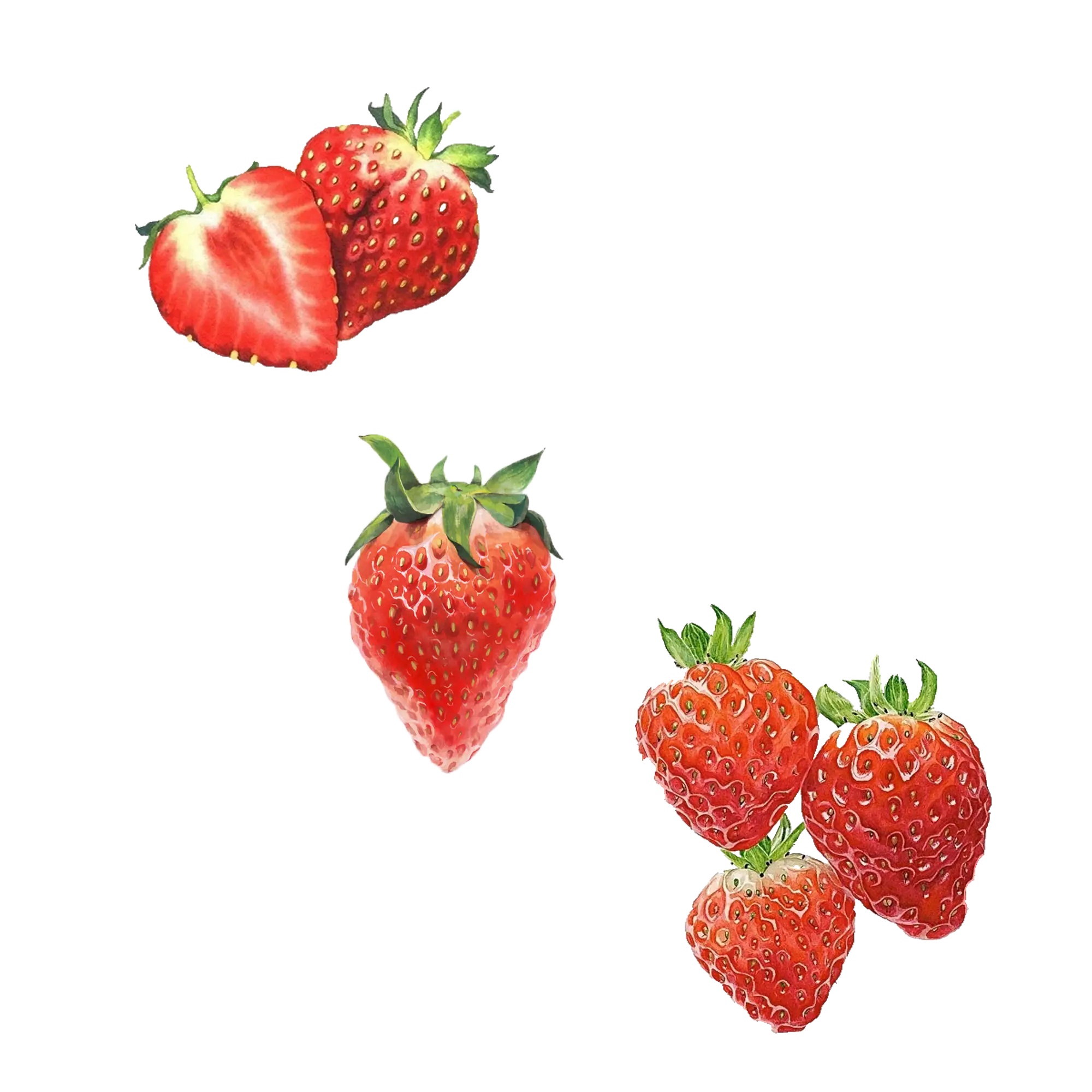 Watercolor Painted Strawberry Set
