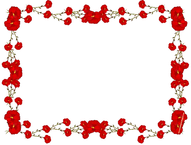 Red Floral Frame Illustration