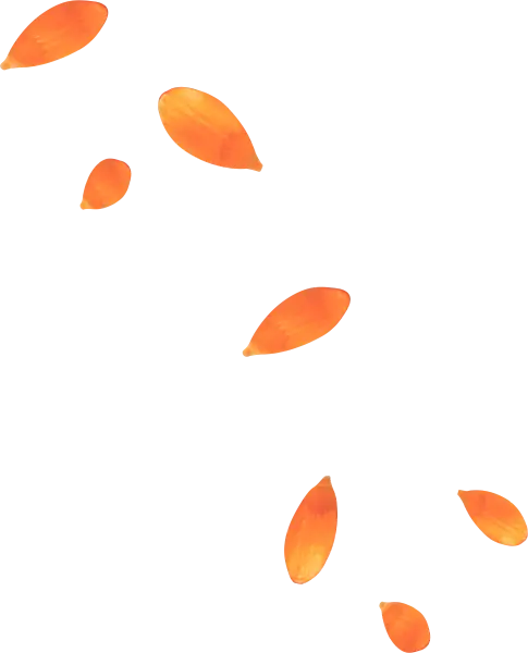 Orange Flower Petals