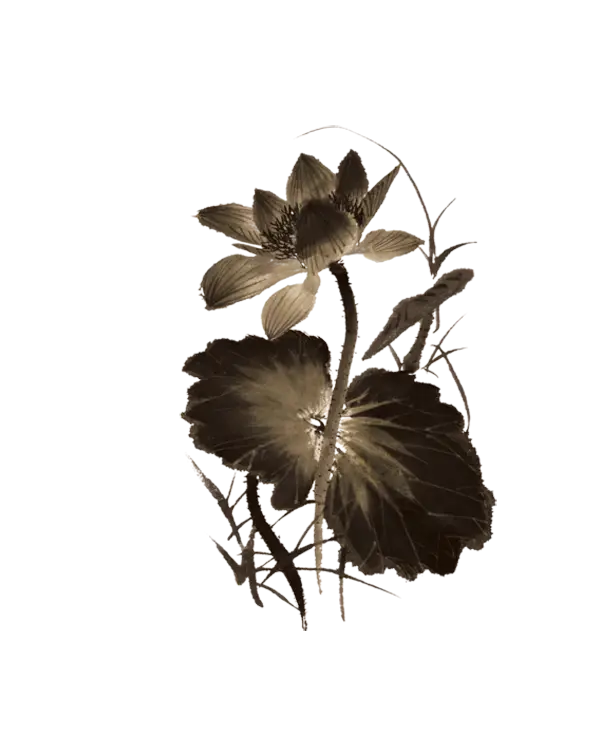 Sepia Lotus Flowers Artwork
