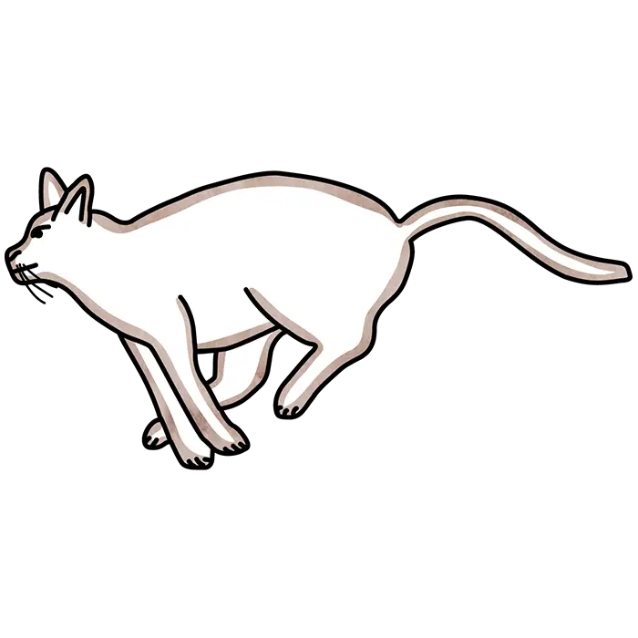 Playful White Cartoon Cat