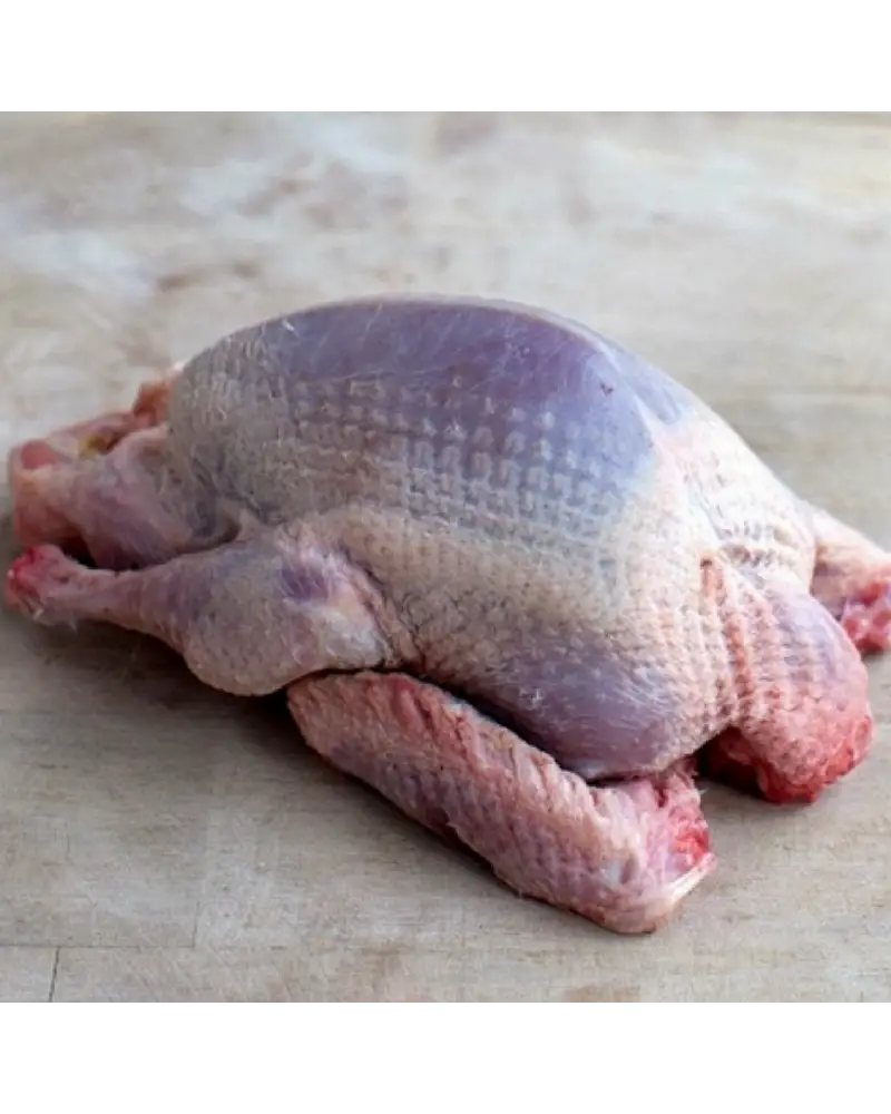 Raw Turkey for Cooking Preparation