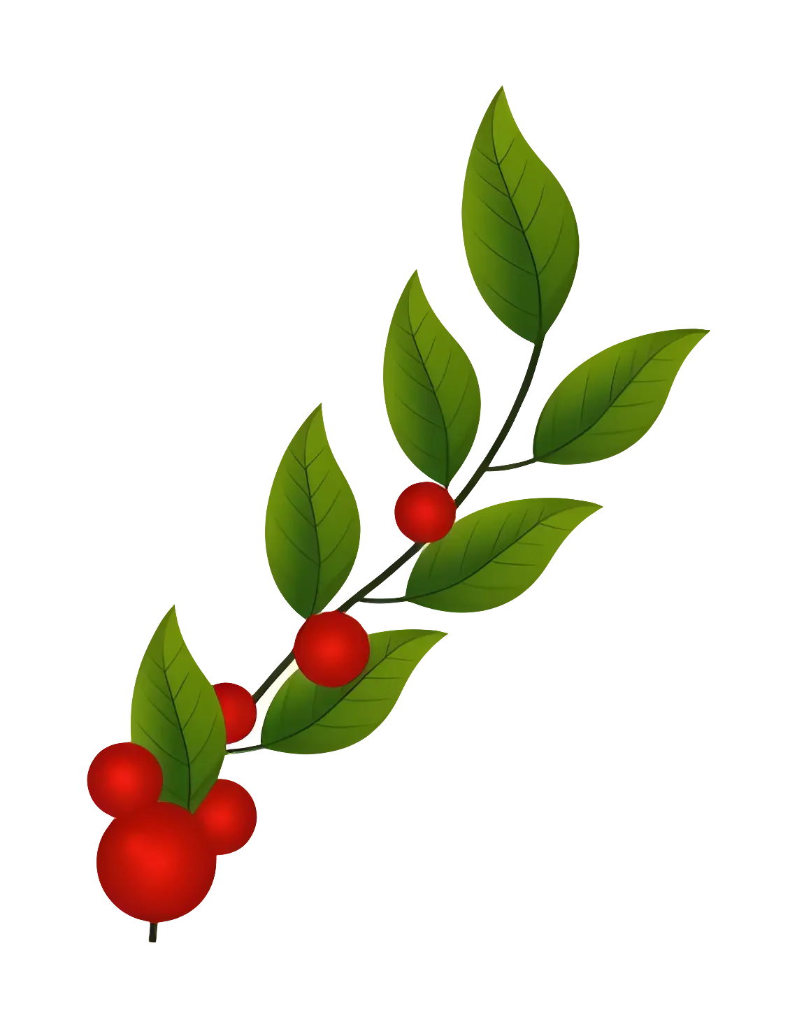 Branch with Red Berries and Green Leaves Illustration