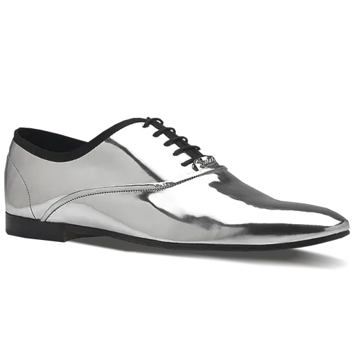 Shiny Silver Formal Shoe