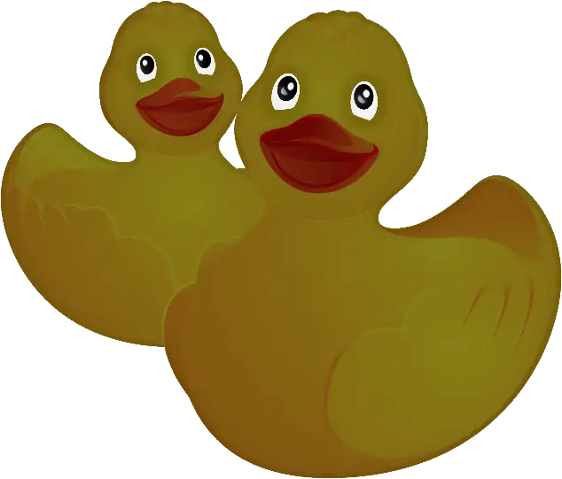 Cute Rubber Duck Duo Illustration