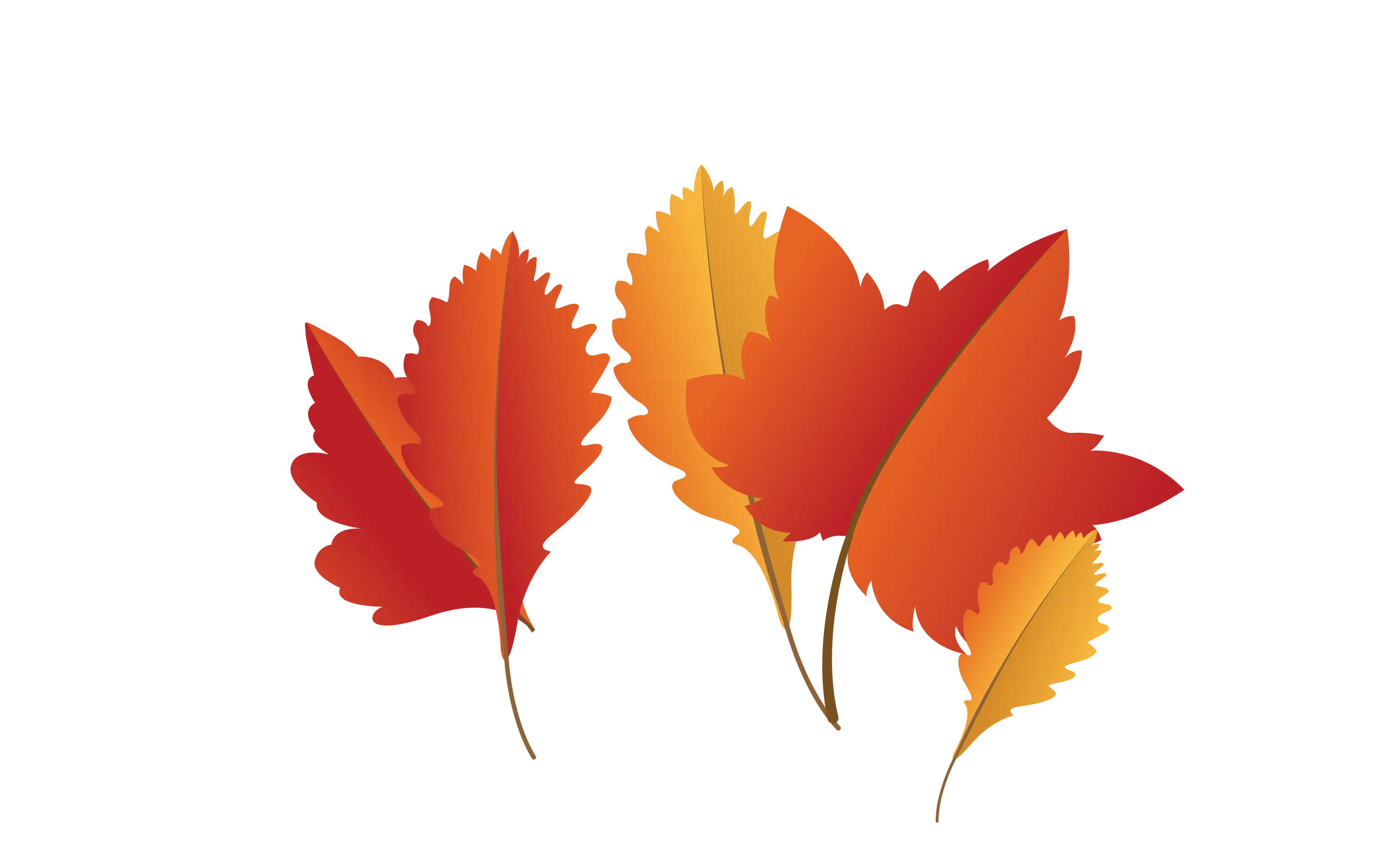 Fall Orange Leaves Illustration